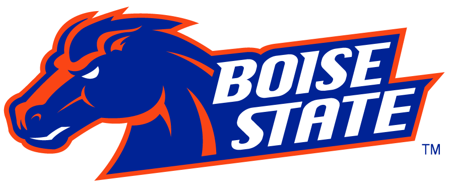 Boise State Broncos 2002-2012 Secondary Logo v21 iron on transfers for T-shirts